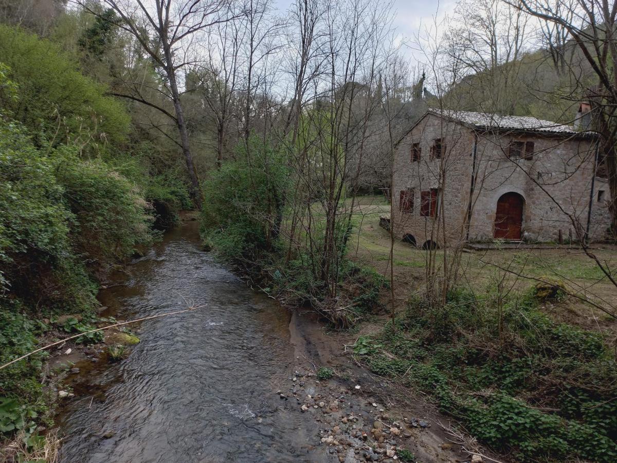 Appartamenti A Pitigliano Dış mekan fotoğraf