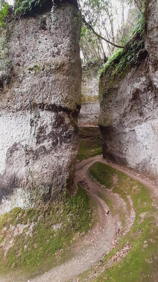 Appartamenti A Pitigliano Dış mekan fotoğraf
